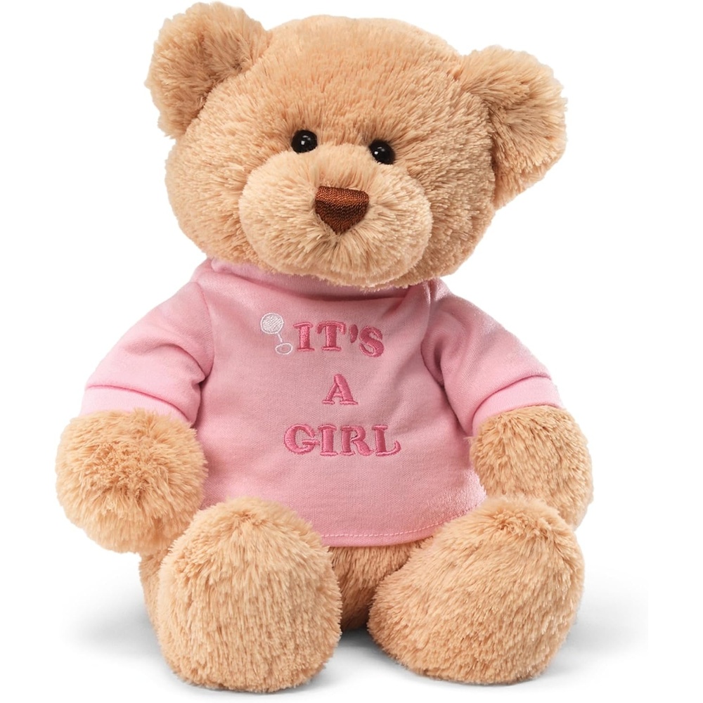 GUND It’s a Boy 12-Inch Message Bear with Blue T-Shirt, Ages 0+(It’s a Girl Pink Tshirt)