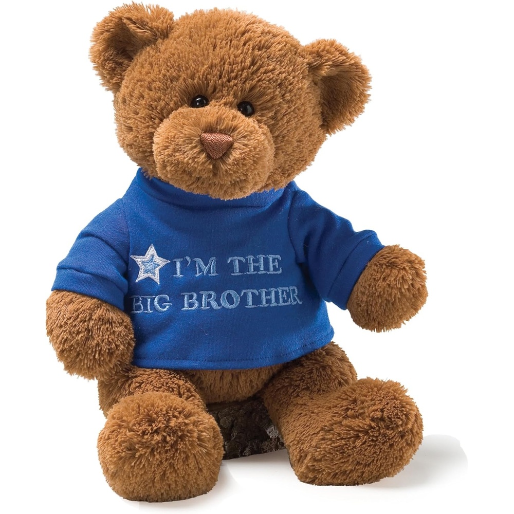 GUND I’m The Big Brother Message Bear with Blue T-Shirt, Teddy Bear Stuffed Animal for Ages 1 and Up, Brown, 12(Big Brother Blue Tshirt)