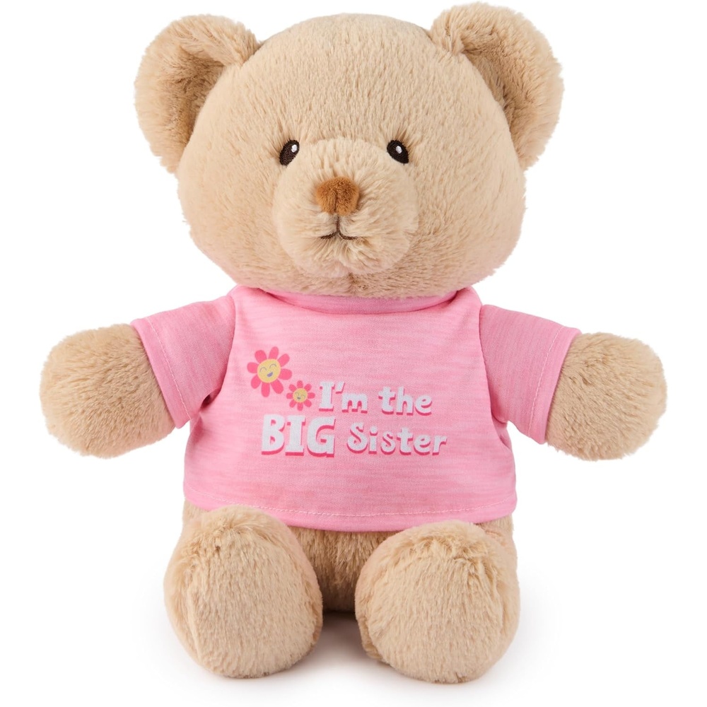 GUND I’m the Big Sister Sustainable Message Bear with Pink T-Shirt, Teddy Bear Made from 100% Recycled Materials for Ages 1 and Up, Tan, 12