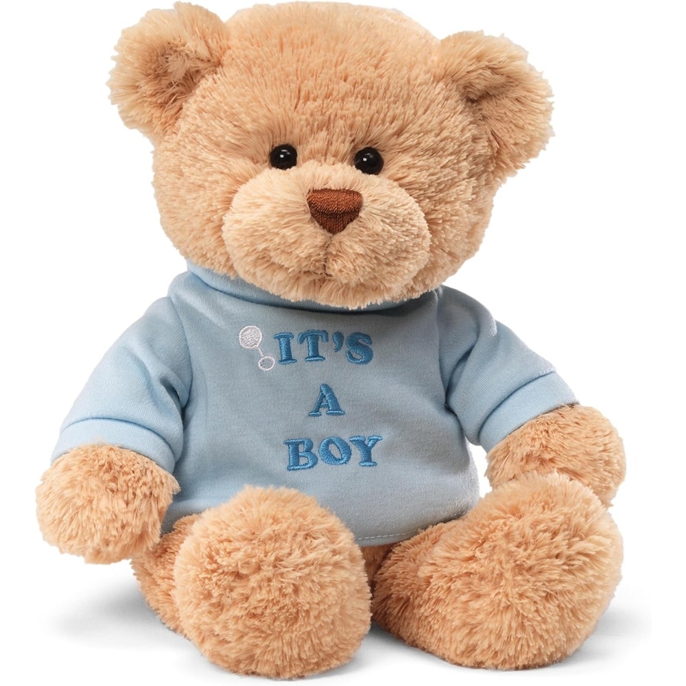 GUND It’s a Boy 12-Inch Message Bear with Blue T-Shirt, Ages 0+(It’s a Boy Blue Tshirt)